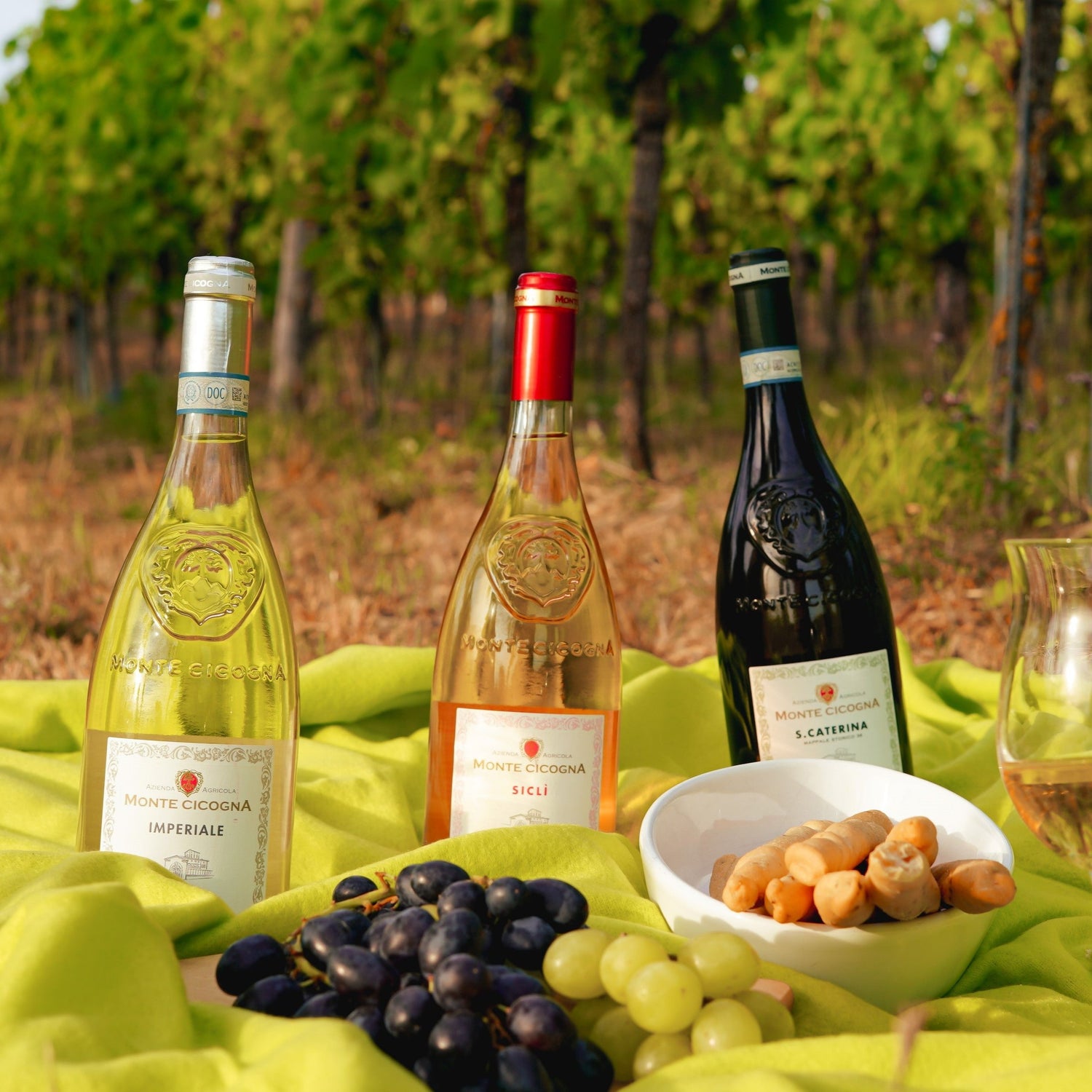 Wein als Weihnachtsgeschenk: Stilvoll und Genussvoll Schenken
Die Weihnachtszeit ist nicht nur die Zeit der Besinnung, sondern auch des Schenkens. Ein edler Tropfen Wein ist dabei eine Geschenkidee, die immer gut ankommt. Wein als Weihnachtsgeschenk vereint Stil, Genuss und persönliche Wertschätzung und passt perfekt zur festlichen Atmosphäre. Doch welcher Wein eignet sich am besten als Geschenk? Hier sind einige Tipps und Ideen, um das passende Weinpräsent für Weihnachten zu finden.
1. Edle Weine – Das pe